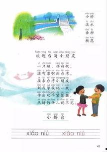 最新教材爆料新闻,最新爆料新闻深度解读