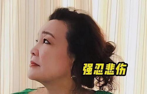 孟贺最新爆料视频大全,揭秘背后惊人真相